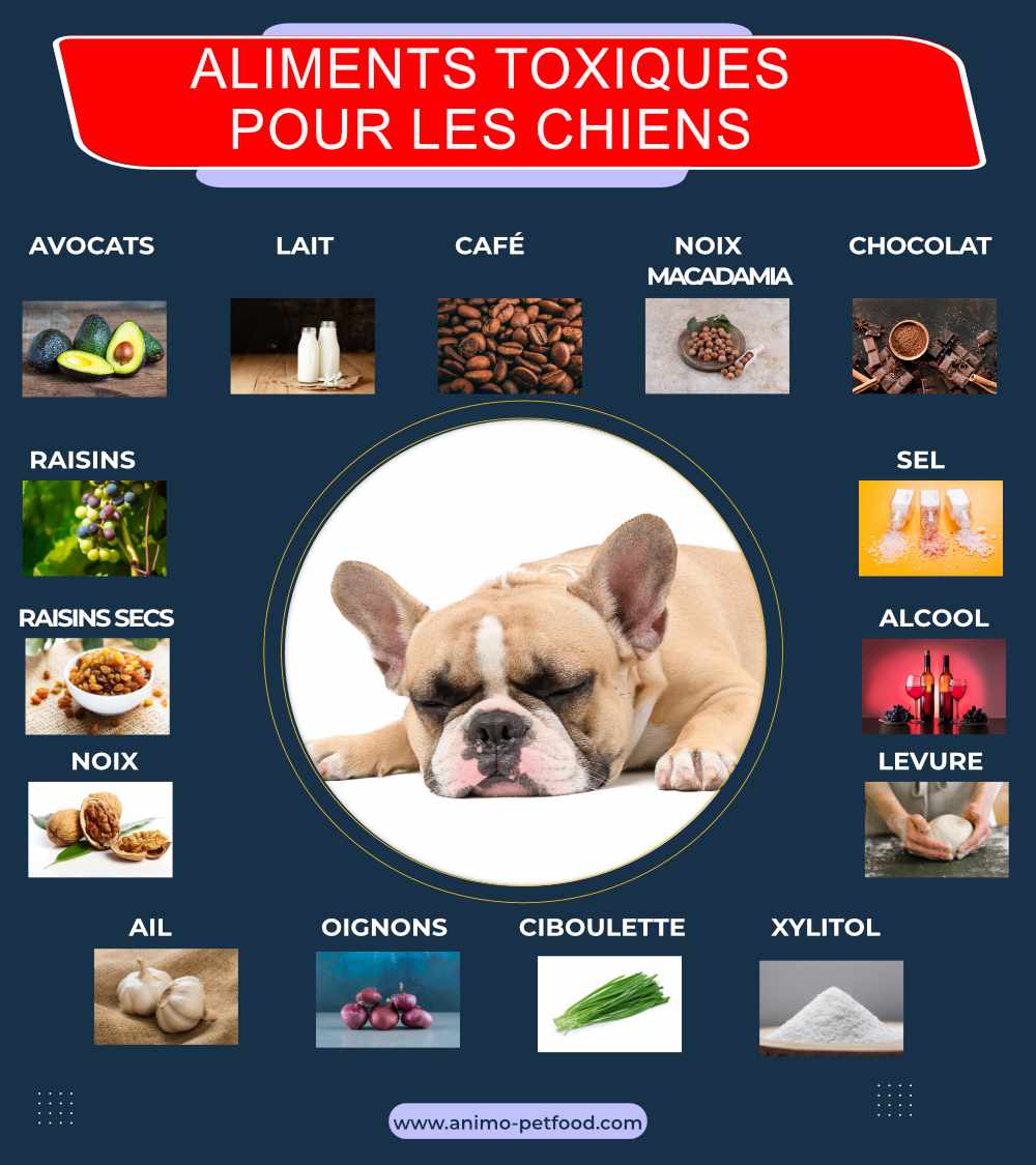 aliments-toxiques-pour-le-chien